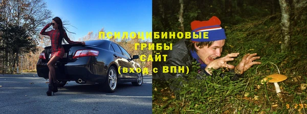 альфа пвп Богданович